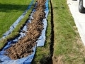Electric Fixes