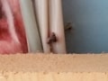 Nail In Wire